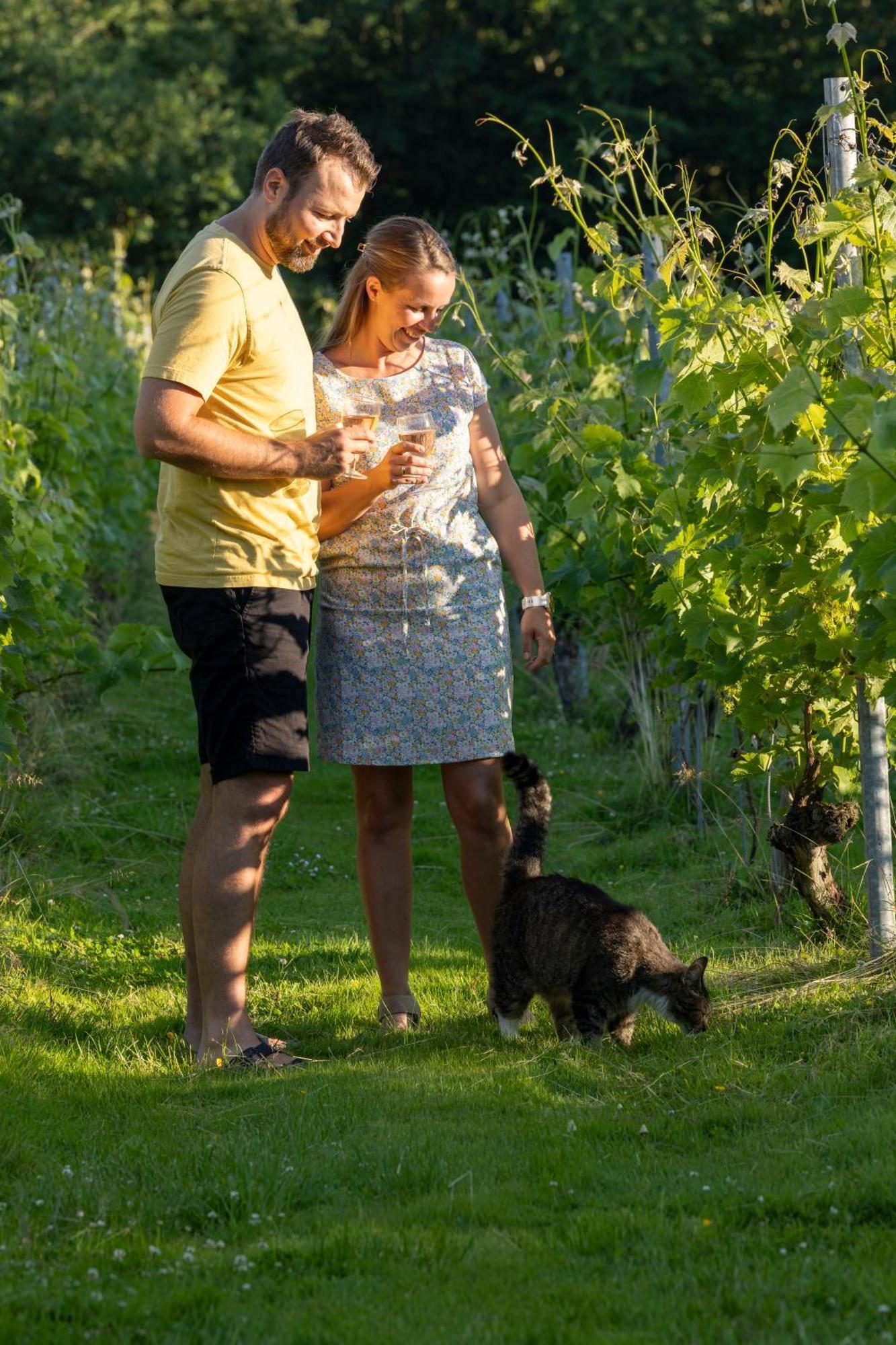 Holmegaard Vin Og Glamping Dannemare Exterior foto
