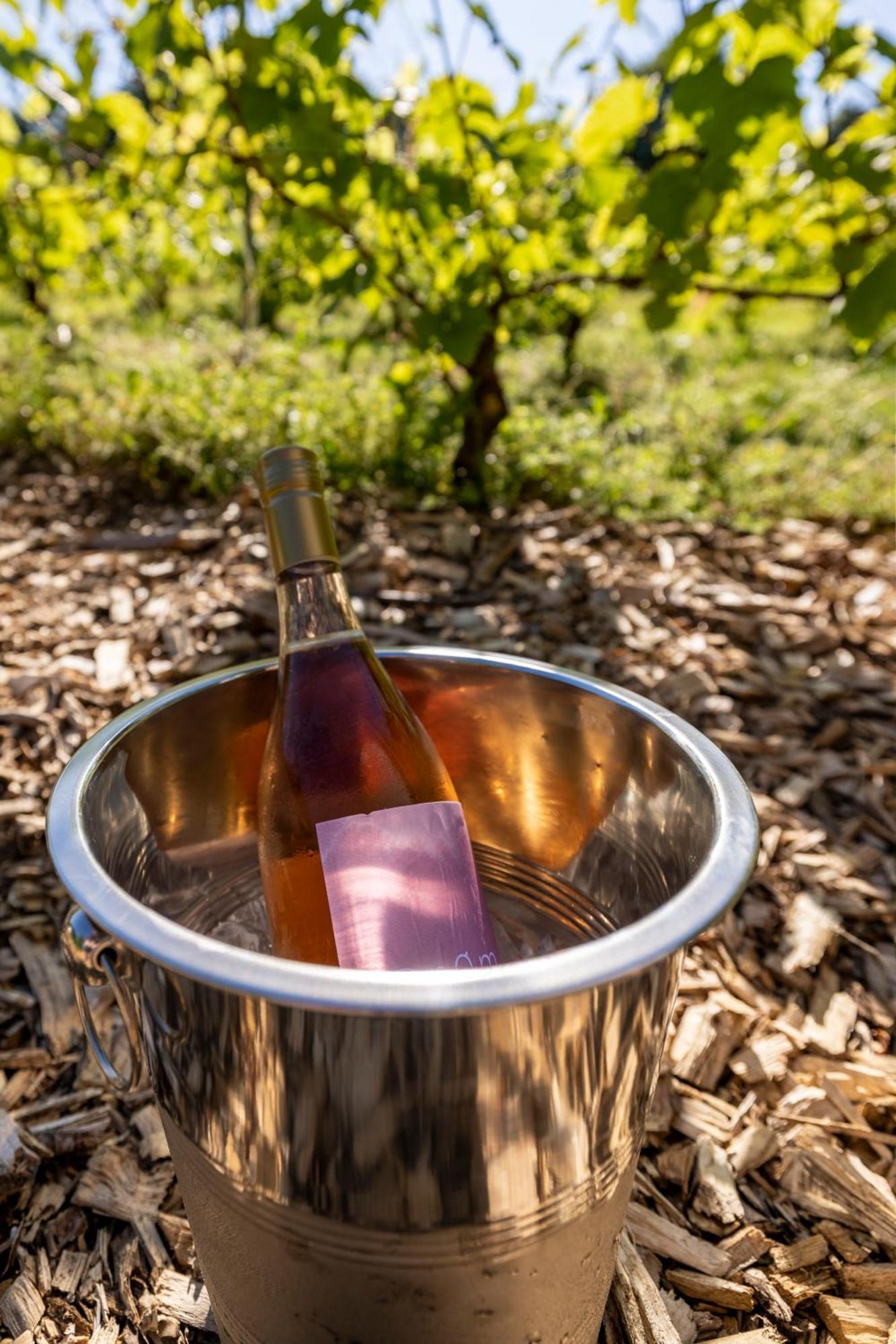 Holmegaard Vin Og Glamping Dannemare Exterior foto